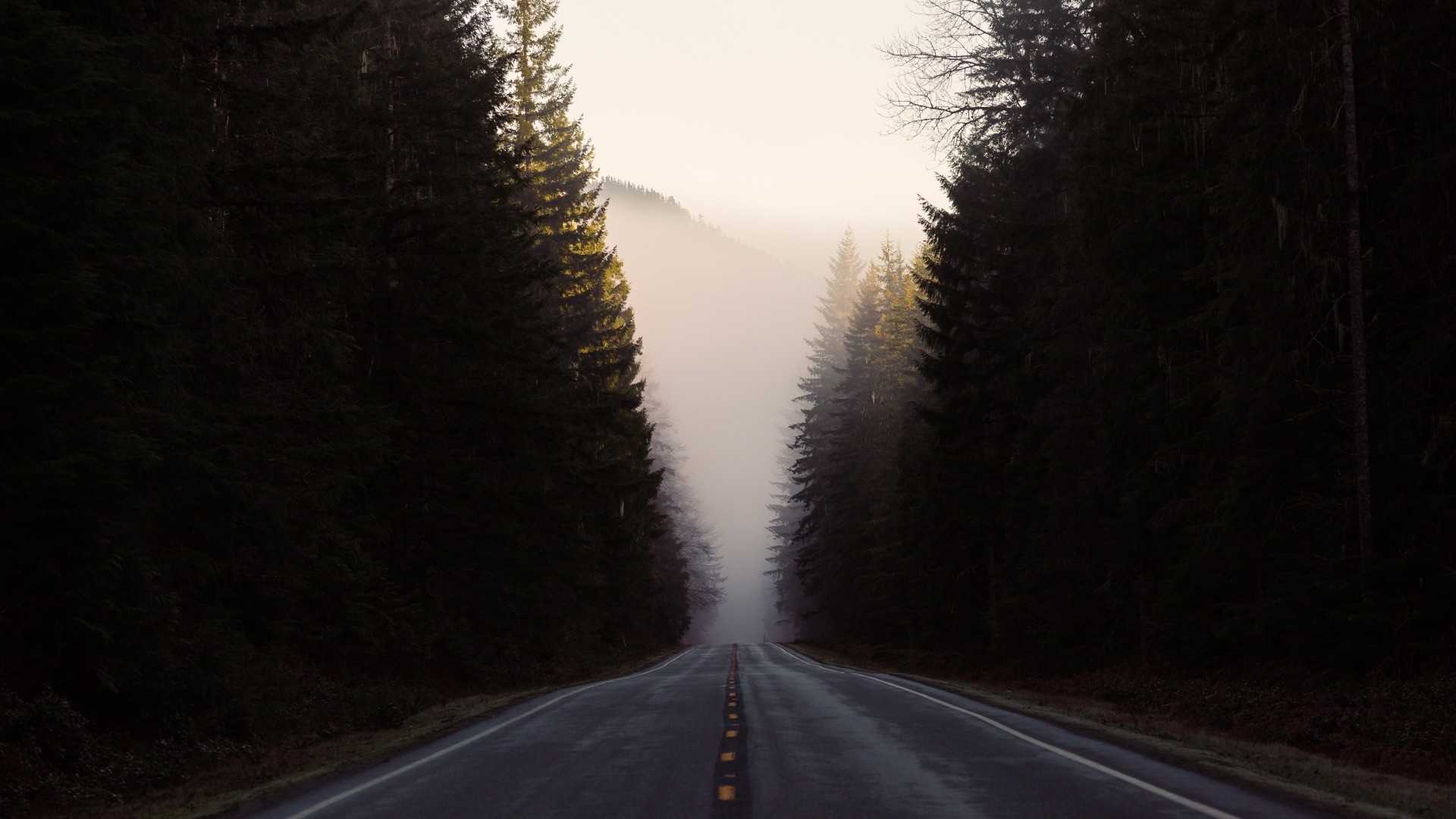 Kahve Falında Üç Yol Görmek Falda Üç Tane Yol